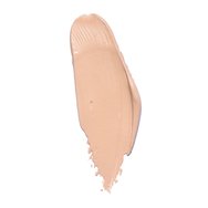 Mon Reve Impeccable High Coverage Concealer 8ml - No 102