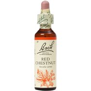 Bach Red Chestnut Ανθοΐαμα σε Σταγόνες 20ml