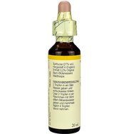 Bach Wild Oat (Bromus Ramosus) Цветя в капки 20ml