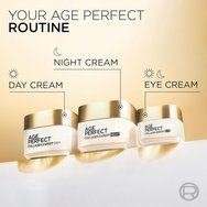 L\'Oreal Paris Age Perfect Collagen Expert Night Cream Хидратиращ и стягащ нощен крем за лице за зряла кожа против тъмни петна 50ml L\'Oreal Paris Age Perfect Collagen Expert Night Cream Хидратиращ и стягащ нощен крем за лице за зряла кожа против тъмни петна 50ml