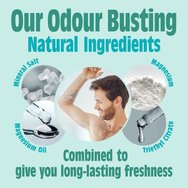 Salt of the Earth Peppermint & Tea Tree Foot Deodorant Spray 100ml Salt of the Earth Peppermint & Tea Tree Foot Deodorant Spray 100ml