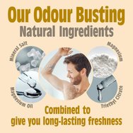 Salt of the Earth Deodorant Spray 100ml - Amber & Sandalwood Salt of the Earth Deodorant Spray 100ml - Amber & Sandalwood