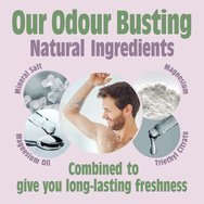 Salt of the Earth Deodorant Spray 100ml - Carly Sage & Mint Salt of the Earth Deodorant Spray 100ml - Carly Sage & Mint