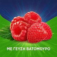 Haleon Promo Pan Natural Cough Raspberry Lozenges 32 бр (2x16 бр) Haleon Promo Pan Natural Cough Raspberry Lozenges 32 бр (2x16 бр)
