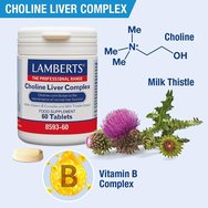 Lamberts Choline Liver Complex Хранителна добавка с комплекс от бял трън, витамини B и холин за поддържане на нормалната функция на черния дроб и подпомагане на храносмилането 60tabs Lamberts Choline Liver Complex Хранителна добавка с комплекс от бял трън, витамини B и холин за поддържане на нормалната функция на черния дроб и подпомагане на храносмилането 60tabs