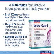 Lamberts Neuro-Guard 60tabs