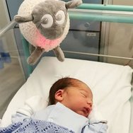 Sweet Dreamers Ewan The Dream Sheep Deluxe Код EW821252, 1 бр - Сив