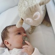 Sweet Dreamers Ewan The Dream Sheep Deluxe Код EW821269, 1 бр - Бежов Sweet Dreamers Ewan The Dream Sheep Deluxe Код EW821269, 1 бр - Бежов