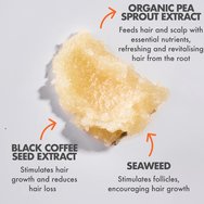 Umberto Giannini Grow Scalp Scrub Ексфолиращ скраб за скалп, подходящ за всички типове коса с кофеин и екстракт от семена на черно кафе 250g Umberto Giannini Grow Scalp Scrub Ексфолиращ скраб за скалп, подходящ за всички типове коса с кофеин и екстракт от семена на черно кафе 250g