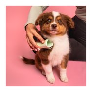 Pet Teezer Puppy Brush with Extra Soft Teeth Зелено 1 бр