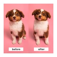 Pet Teezer Detagling & Dog Grooming Brush Small Size Лилаво/жълто 1 бр