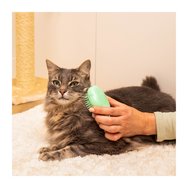 Pet Teezer Cat Grooming Brush Зелено 1 бр