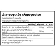 Natural Doctor B12 Active & Alfa Alfa Добавка с витамин В12 и прах от люцерна за добро функциониране на нервната система, срещу умора и изтощение 120 вег. капс Natural Doctor B12 Active & Alfa Alfa Добавка с витамин В12 и прах от люцерна за добро функциониране на нервната система, срещу умора и изтощение 120 вег. капс