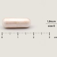 Olonea BacteFlora Travel 14caps