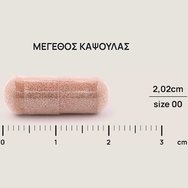 Olonea Rhodiotil Stress Adapt 30caps