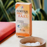Geoplan Fortius Pro F.a.s.t. 10Disp.tabs Geoplan Fortius Pro F.a.s.t. 10Disp.tabs