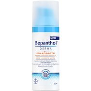 Bepanthol Derma Restoring Daily Face Cream with Spf25, 50ml Promo -30% Bepanthol Derma Restoring Daily Face Cream with Spf25, 50ml Promo -30%