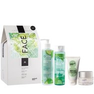 Medisei Panthenol Extra Gift Away Face Cleansing Milk 3in1 250ml, Detox Tonic Lotion 200ml, Green Clay Facial Mask 75ml & Face & Eye Cream 50ml - Почистваща емулсия за лице, очи и устни и тонизиращ лосион и лице против бръчки, крем за очи и дълбоко почистваща маска със зелена глина Medisei Panthenol Extra Gift Away Face Cleansing Milk 3in1 250ml, Detox Tonic Lotion 200ml, Green Clay Facial Mask 75ml & Face & Eye Cream 50ml - Почистваща емулсия за лице, очи и устни и тонизиращ лосион и лице против бръчки, крем за очи и дълбоко почистваща маска със зелена глина