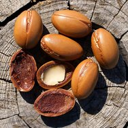 Macrovita Olive & Argan Hydration & Revitalization Hand Cream Travel Size 50ml Macrovita Olive & Argan Hydration & Revitalization Hand Cream Travel Size 50ml