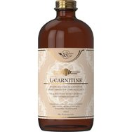 Sky Premium Life L-Carnitine 480ml