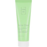 Lavish Care Acne Clear Oil Control Purifying Face Mask 75ml