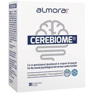 Almora Plus Cerebiome 30caps - Хранителна добавка от пробиотици и витамин B6 за нормална психологическа и нервна функция срещу стрес Almora Plus Cerebiome 30caps - Хранителна добавка от пробиотици и витамин B6 за нормална психологическа и нервна функция срещу стрес