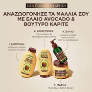 Garnier Promo Botanic Therapy Avocado Oil & Shea Butter Shampoo 400ml & Conditioner 200ml & Hair Remedy 340ml & Revival Elixir 120ml Garnier Promo Botanic Therapy Avocado Oil & Shea Butter Shampoo 400ml & Conditioner 200ml & Hair Remedy 340ml & Revival Elixir 120ml
