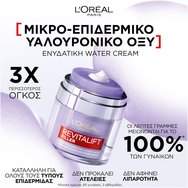 L\'Oreal Paris Promo Revitalift Filler Hyaluronic Plumping Water-Cream 50ml & Bright Reveal Tinted Glow Daily Fluid Spf50, 50ml L\'Oreal Paris Promo Revitalift Filler Hyaluronic Plumping Water-Cream 50ml & Bright Reveal Tinted Glow Daily Fluid Spf50, 50ml
