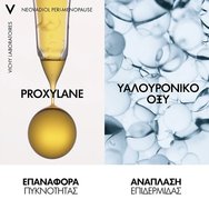 Vichy Promo Neovadiol Compensating Complex Menopause Redensifying Plumping & Lifting Day Cream 50ml & Δώρο Night Cream 15ml & Δώρο Νεσεσέρ 1 Τεμάχιο  Vichy Promo Neovadiol Compensating Complex Menopause Redensifying Plumping & Lifting Day Cream 50ml & Δώρο Night Cream 15ml & Δώρο Νεσεσέρ 1 Τεμάχιο