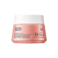 Vichy Promo Neovadiol Rose Platinium Day Дневна грижа против стареене за зряла и безжизнена кожа от менопаузата и след нея 50ml Vichy Promo Neovadiol Rose Platinium Day Дневна грижа против стареене за зряла и безжизнена кожа от менопаузата и след нея 50ml
