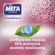 ΜΕΓΑ Promo Hygiene Liquid Hand Wash Pomegranate 300ml