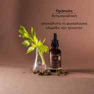 Apivita Dandruff Relief Oil for Dry & Oily Dandruff Conditions 50ml Apivita Dandruff Relief Oil for Dry & Oily Dandruff Conditions 50ml
