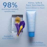 Apivita Aqua Beelicious Comfort Hydrating Cream 40ml