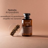 Apivita Oily Dandruff Shampoo 250ml Apivita Oily Dandruff Shampoo 250ml