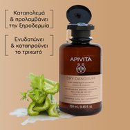 Apivita Dry Dandruff Shampoo with Celery & Propolis 500ml