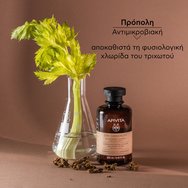 Apivita Dry Dandruff Shampoo with Celery & Propolis 500ml