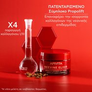 Apivita Beevine Elixir Wrinkle & Firmness Lift Cream Rich Texture 50ml
