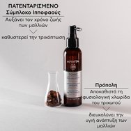 Apivita Promo Tonic Hair Loss Lotion 150ml & Подарък Men\'s Tonic Shampoo 250ml