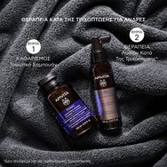 Apivita Promo Tonic Hair Loss Lotion 150ml & Подарък Men\'s Tonic Shampoo 250ml Apivita Promo Tonic Hair Loss Lotion 150ml & Подарък Men\'s Tonic Shampoo 250ml