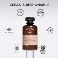 Apivita Dandruff Relief Shampoo 250ml