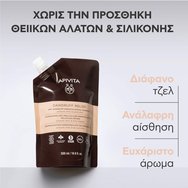 Apivita Dandruff Relief Refill Shampoo Дерматологичен шампоан против сух скалп с прополис & растителна AHA 500ml Apivita Dandruff Relief Refill Shampoo Дерматологичен шампоан против сух скалп с прополис & растителна AHA 500ml