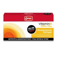 Lanes Vitamin D 1000iu 25μg 60caps & Подарък 30caps - Хранителна добавка за засилване на имунната функция и подкрепа на опорно-двигателния апарат Lanes Vitamin D 1000iu 25μg 60caps & Подарък 30caps - Хранителна добавка за засилване на имунната функция и подкрепа на опорно-двигателния апарат