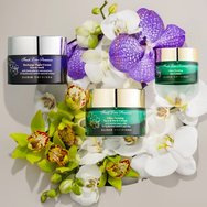 Fresh Line Elixir Orchidea Ultra Firming & Uplifting Eye Cream Крема за интензивно стягане и повдигане на очи за намаляване на бръчки и повдигане на клепачите 15ml