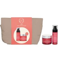 Fresh Line Promo Iris Fine Lines & Glow Renewing & Brightening Night Serum 30ml & Подарък Youth Revealing & Illuminating Face Cream 50ml & Несесер 1 брой Fresh Line Promo Iris Fine Lines & Glow Renewing & Brightening Night Serum 30ml & Подарък Youth Revealing & Illuminating Face Cream 50ml & Несесер 1 брой