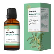 Kanavos Eucalyptus Essential Oil 20ml - евкалипт - Етерично масло за естествено ароматизиране на пространството, подходящо за инхалации, което предлага релаксация и благополучие Kanavos Eucalyptus Essential Oil 20ml - евкалипт - Етерично масло за естествено ароматизиране на пространството, подходящо за инхалации, което предлага релаксация и благополучие