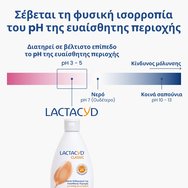 Lactacyd Promo Classic Intimate Washing Lotion 300ml & Подарък Moist Intimate Wipes 15 бр Lactacyd Promo Classic Intimate Washing Lotion 300ml & Подарък Moist Intimate Wipes 15 бр