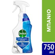 Dettol Power & Pure Fresh Mountain Spring 750ml Dettol Power & Pure Fresh Mountain Spring 750ml