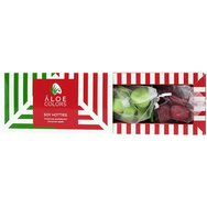 Aloe Colors Soy Hotties Chistmas Sandalwood & Cinnamon Apple 14 бр