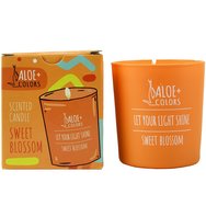 Aloe Colors Sweet Blossom Scented Soy Candle Ароматна Соева Свещ в Буркан с Дълготраен Аромат 220g Aloe Colors Sweet Blossom Scented Soy Candle Ароматна Соева Свещ в Буркан с Дълготраен Аромат 220g