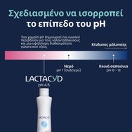 Lactacyd Intimate Wash with Prebiotics Plus 250ml Lactacyd Intimate Wash with Prebiotics Plus 250ml